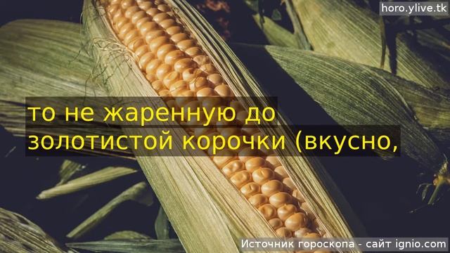 Рак. 🌮 17 окт. 2018: Кулинарный гороскоп на сегодня. смотреть онлайн
