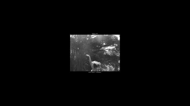 Novo Amor | Weather ( Slowed/Reverb ) смотреть онлайн