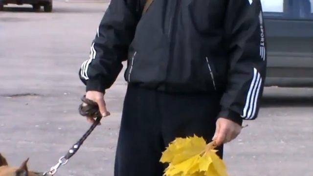 ПЛОЩАДЬ,БЕРМУД И Я! смотреть онлайн