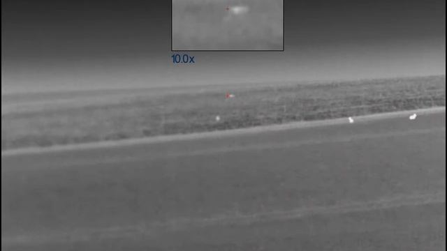 Fox taking its last dump , pulsar thermal , 243 ... 268meters смотреть онлайн