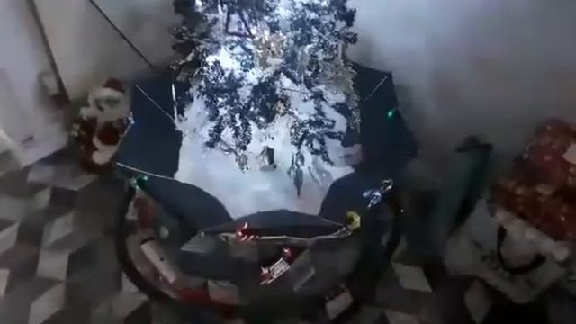 My partner's Christmas tree смотреть онлайн