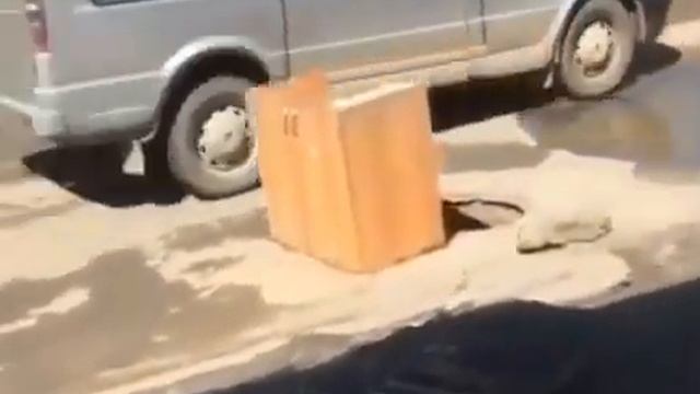 прикрыли тумбой открытый люк смотреть онлайн