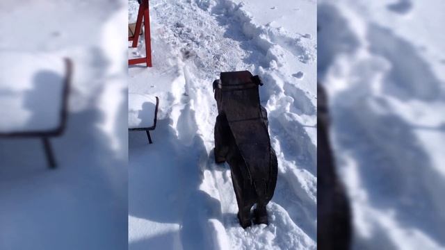 собака смотреть онлайн