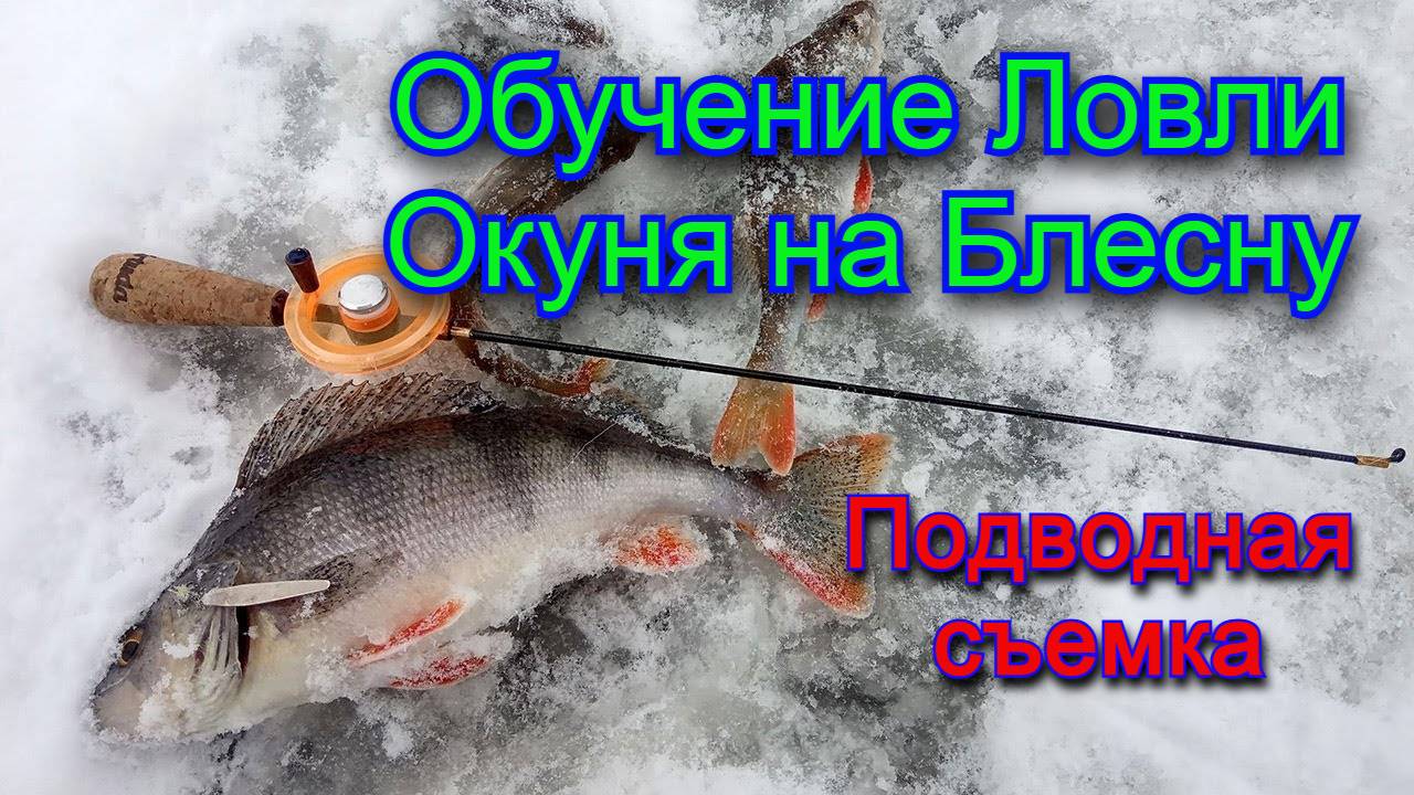 🔥🔥🔥Ловля на блесну Зимняя рыбалка смотреть онлайн