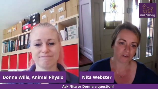 Meet Nita! She uses the Puppy Massage DVD and will share how she has found it useful! смотреть онлайн