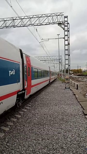 Скоростной "Стриж" на Петербург под тягой ЭП20-005 смотреть онлайн