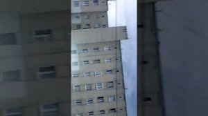 Серена. Галовый