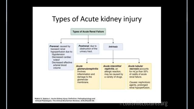 Acute Kidney Injury with Dr. Lina Mackelaite смотреть онлайн
