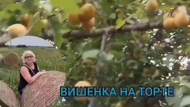 ПОЗОРНАЯ ДНЮХА. VREDINA LIFE. ОБЗОР. смотреть онлайн