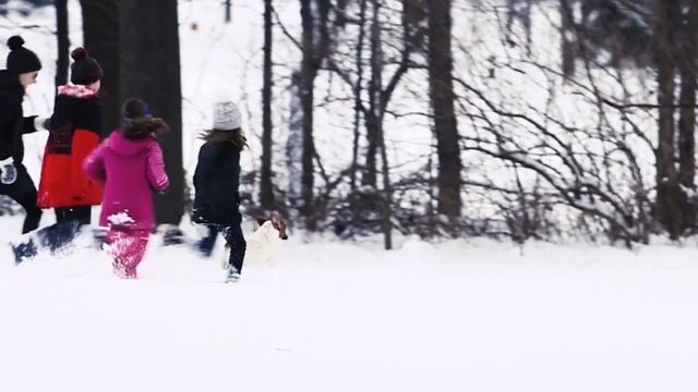 How can snow fall in above-freezing temperatures? смотреть онлайн