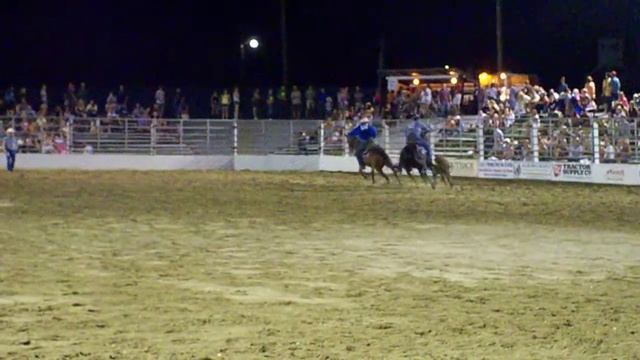 Docs Lasso Badger heading Cowtown, NJ Aug 2012 смотреть онлайн