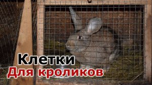Как сделаны клетки для кроликов
