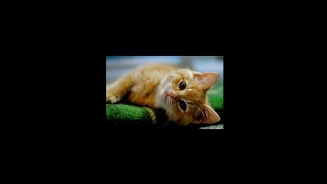 Вируоз - Низкая Приора смотреть онлайн