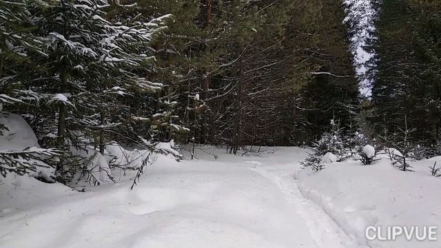 В ПРОСТОТЕ НЕПОВТОРИМОЕ ОЧАРОВАНИЕ... смотреть онлайн