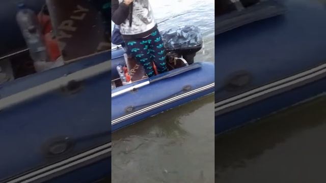 25 декабря 2018 г. смотреть онлайн