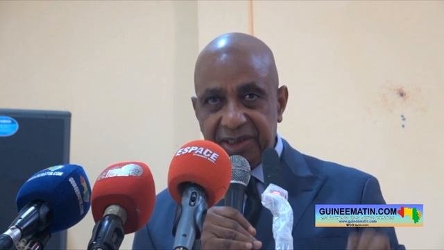 🔴"Une année, 2 mois et 4 jours, le temps pour comprendre la Guinée..." : Pr. Bano présente son livr смотреть онлайн