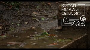 Зифа Кадыйрова   Синсез килгән язлар 8нче өзек