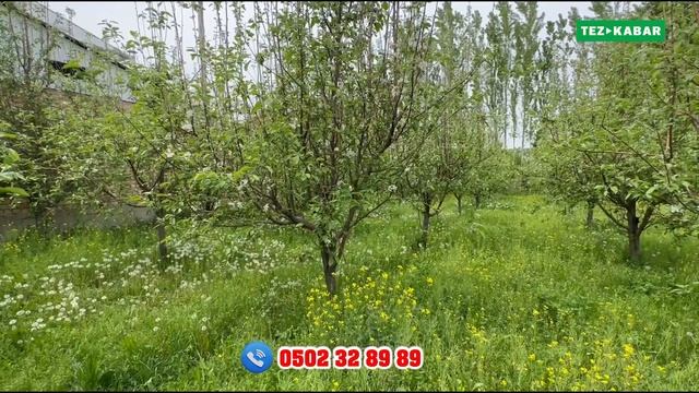 Фундаменти даяр 8 сотик ЖЕР тилкеси САТЫЛАТ ~ Канализация, суу, свет бак-дарагы бар смотреть онлайн