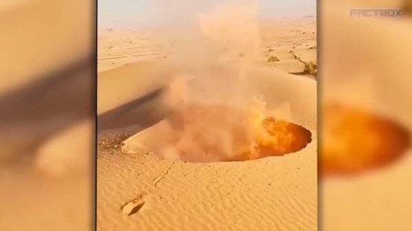 НЕ ПРИБЛИЖАЙТЕСЬ, Если Увидите ЭТО! Случаи В ПРИРОДЕ Один На МИЛЛИОН! #5