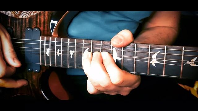 Guest Solo on Ed Thorne's "World Falls Out Of The Sky" - PRS 509 (10top) смотреть онлайн
