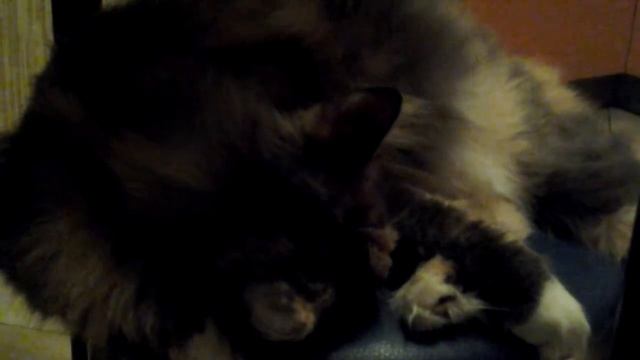 Мой инстаграмм+новостя :D смотреть онлайн