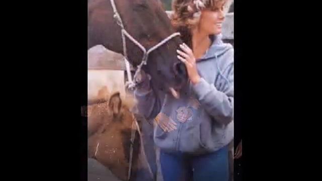 olivia newton-john the promise(the dolphin song) TOKYO 2010 смотреть онлайн