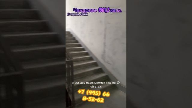 Продаю 1901,2 кв.м. Коммерческая недвижимость Чандрово Тихая Слобода, Весенняя ул., 84 смотреть онлайн