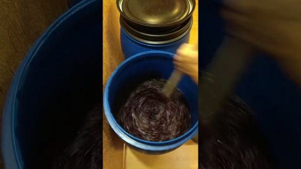 Четвёртые сутки брожения вина на мезге