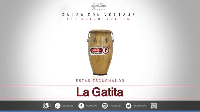 Julio Voltio - La Gatita | Audio смотреть онлайн