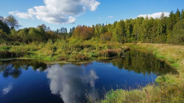 ЖИЗНЬ НА НОВОЙ ЗЕМЛЕ (ЭНЕРГЕТИЧЕСКОЕ ЕДИНСТВО) смотреть онлайн