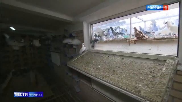 Мощная трехдневная магнитная буря смотреть онлайн