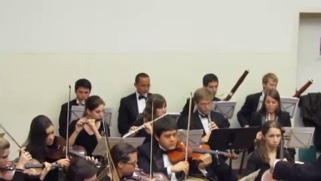 Baylor Chamber Orchestra in Belgium 2010 смотреть онлайн