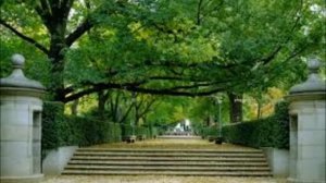 Ғәзим Ильясов - Кеше бәхетенә үрелмәгеҙ