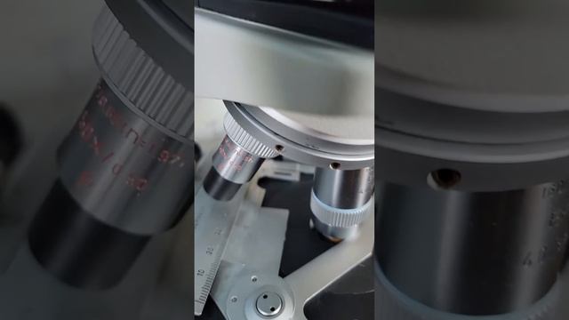 LEITZ LABORLUX 11 POLARIZING MICROSCOPE S смотреть онлайн