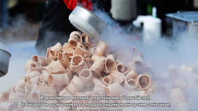 Гранд-Строганина из пеламиды - Рекорд на пл. Победы в Калининграде 24 января 2025 смотреть онлайн