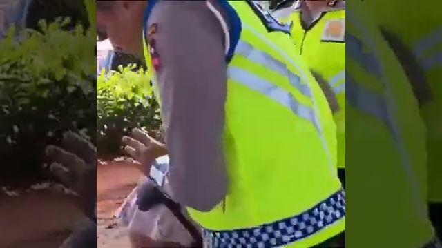 POLISI SUPER SABAR VS EMAK2 NYALI TINGGI BER HEADSET 700 Ribu.. смотреть онлайн