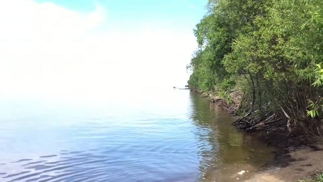 Куность - лето смотреть онлайн