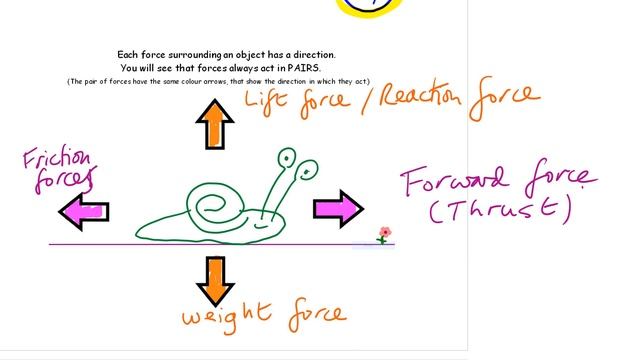 Science Physics Year 8 FORCES RENEW Lesson 3 смотреть онлайн