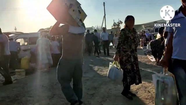 BUXORO JONDOR/BUGDOY MAKKA BIRINCH BEDA URUGI/NARXLAR 2022/JONDOR UZ