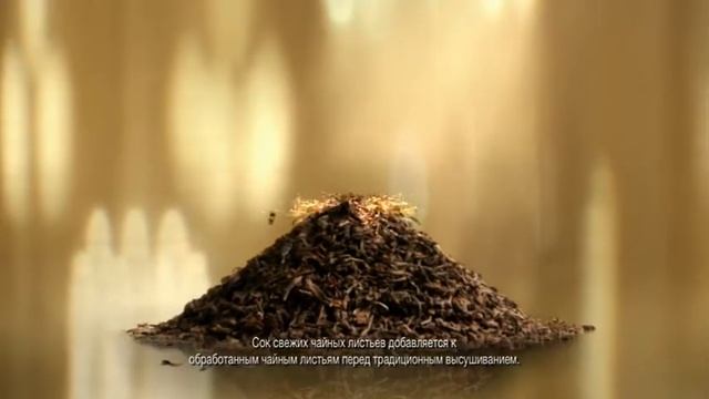 Lipton Yellow Label смотреть онлайн