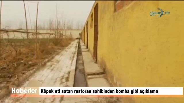 05/04/2020 Köpek eti satan restoran sahibinden bomba gibi açıklama смотреть онлайн