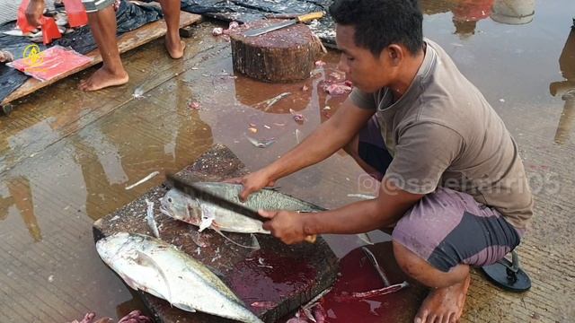 Skill Memotong Ikan Bubara Untuk Dibakar Pasar Ikan Terbesar di Papua - Afri Sorong смотреть онлайн