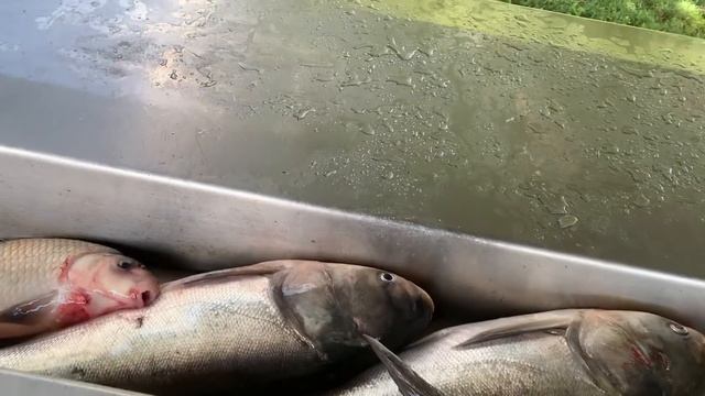 A little help from my friends. смотреть онлайн