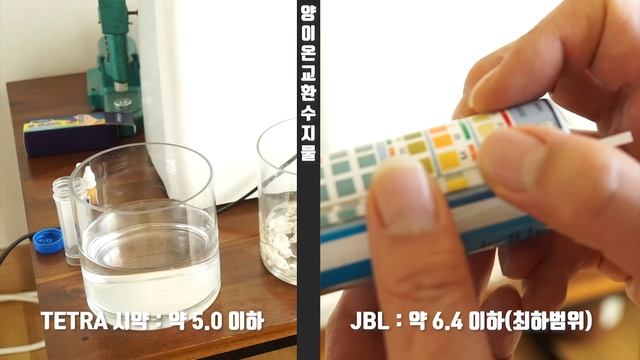 PH,염소,GH,KH,NO2(아질산),NO3(질산염)이 한번에 측정 가능한 JBL EASY TEST 솔직후기 смотреть онлайн