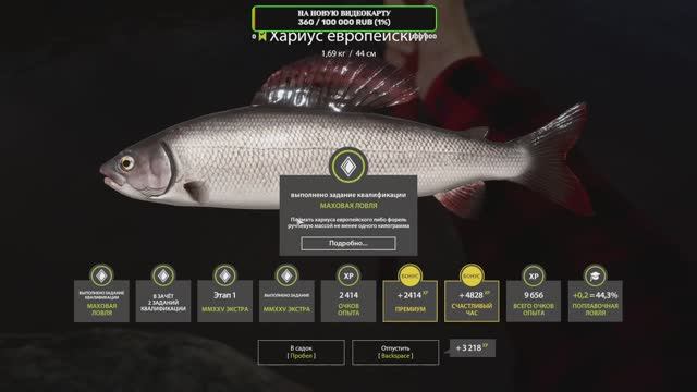 Русская рыбалка 4 23.01.2025 смотреть онлайн