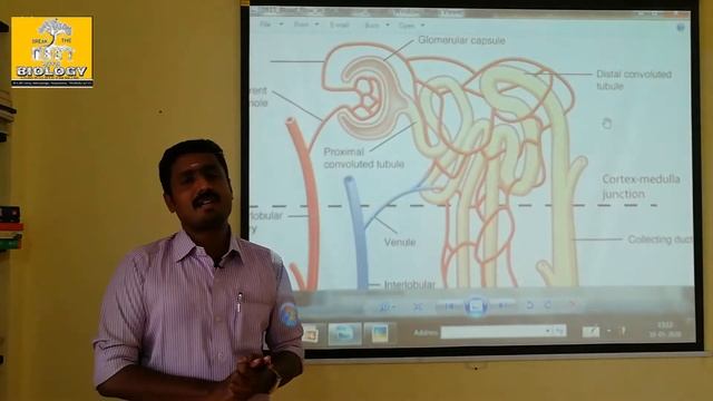 ANTI DIUERTIC HORMONE (PART 2) - TAMIL EXPLANATION смотреть онлайн