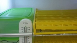 DIY incubator with Intelligent Thermostat ZFX-W9002 220 VAC