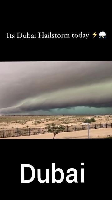 Artificial rain in Dubai #shorts #dubai смотреть онлайн