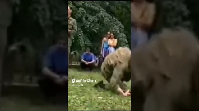 Система боевого выживания Кадочникова. Внутренняя школа. Ученики В.В. Струтинского. Воронеж. #army смотреть онлайн