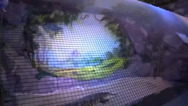 Океанариум( Морская сказка) Киев смотреть онлайн